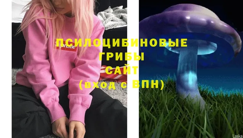 Галлюциногенные грибы Magic Shrooms  закладки  Алзамай 